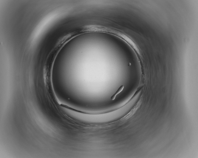 X0000113091438200908281234
