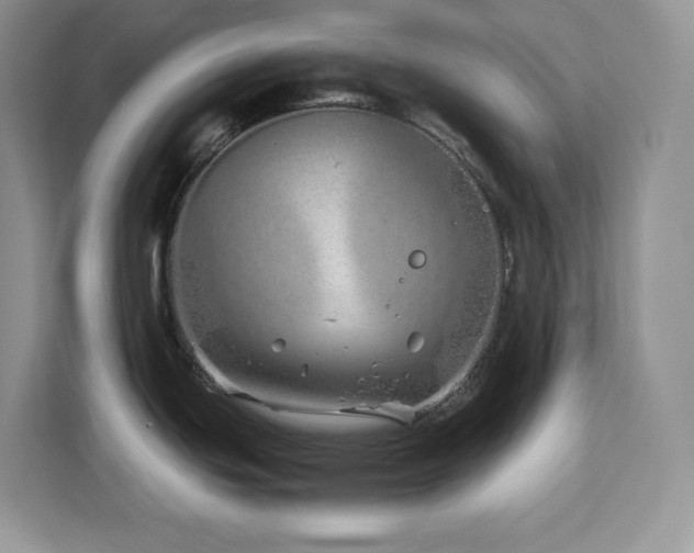 X0000113091439200908281234