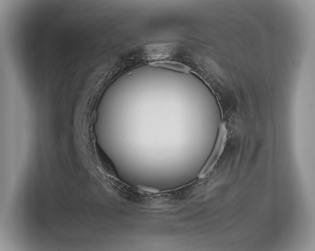 X0000113091441200908281234
