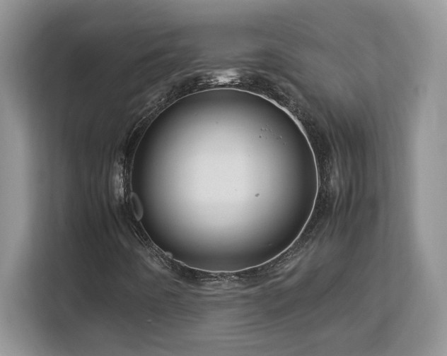 X0000113091442200908281234