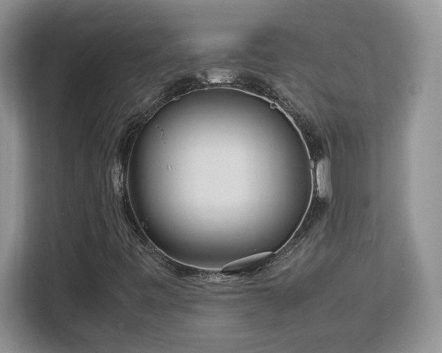 X0000113091443200908281234