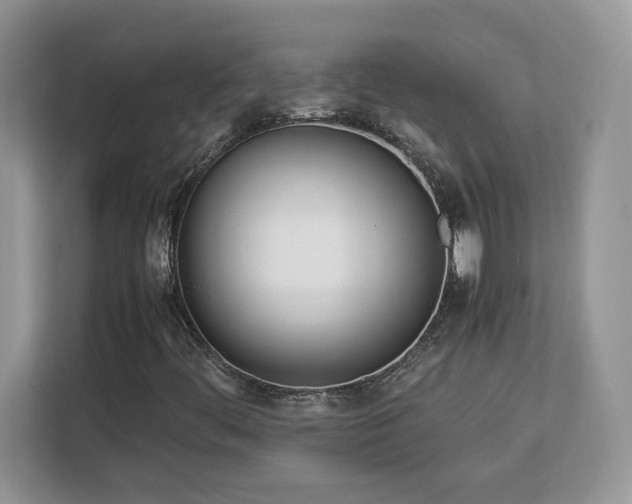 X0000113091444200908281234