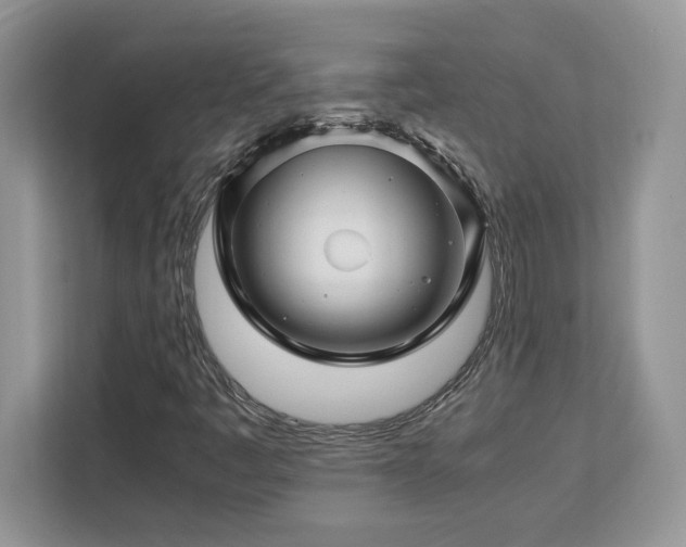 X0000113091445200908281234