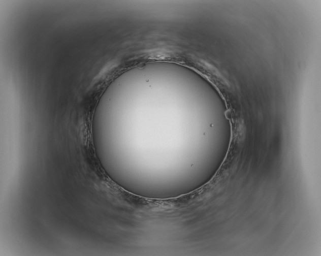 X0000113091446200908281234