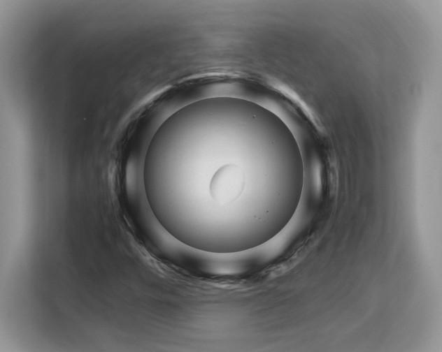 X0000113091448200908281234