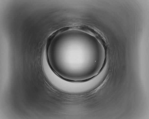 X0000113091449200908281234