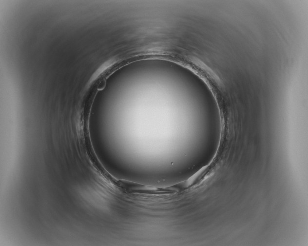 X0000113091450200908281234