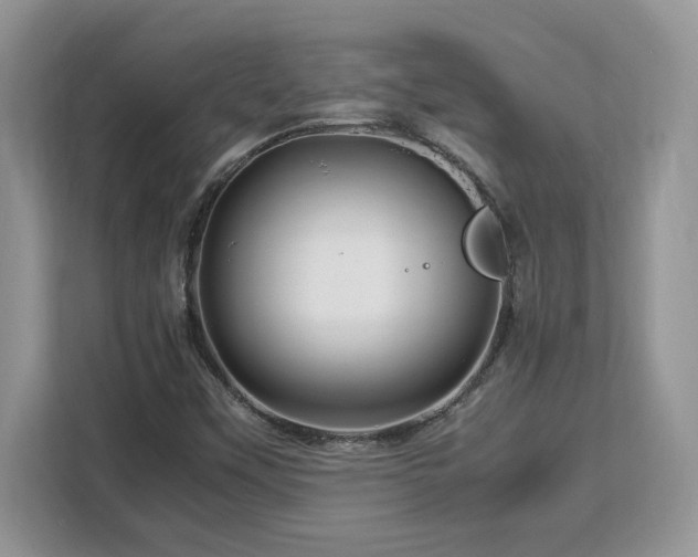 X0000113091451200908281234