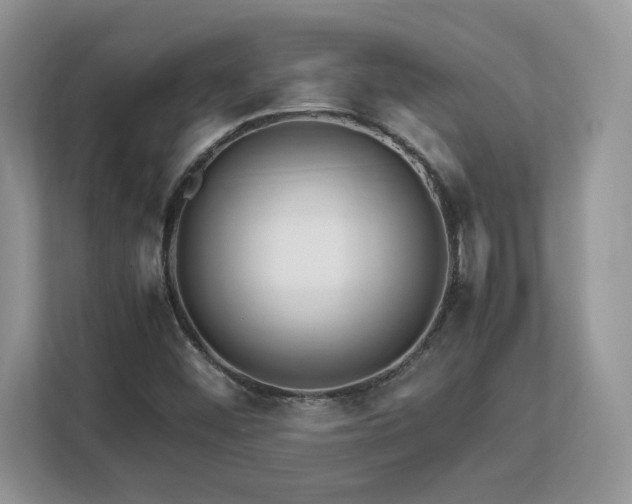 X0000113091452200908281234