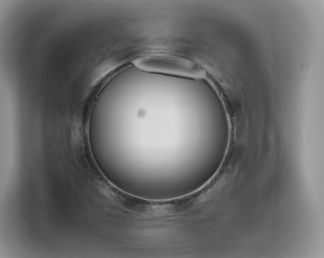X0000113091453200908281234