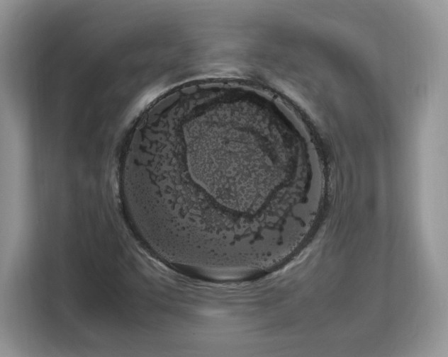 X0000113091455200908281234