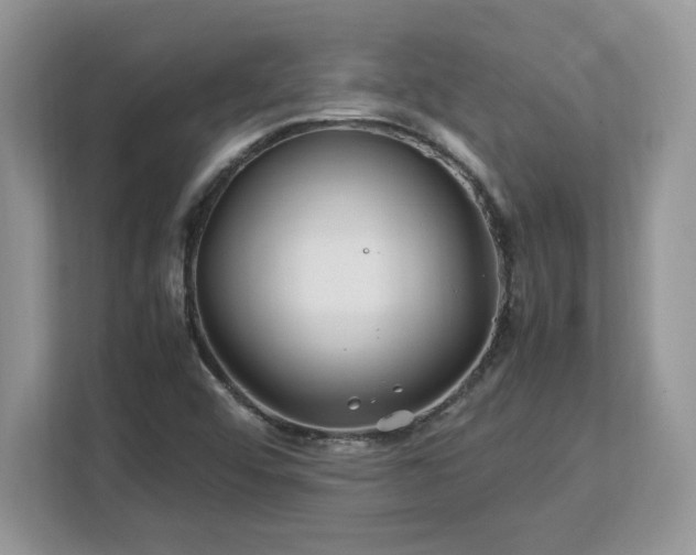 X0000113091456200908281234