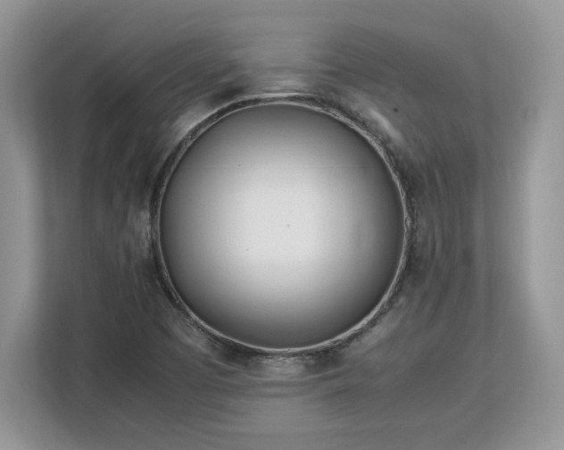X0000113091457200908281234