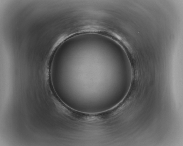 X0000113091459200908281234