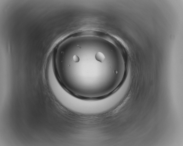 X0000113091461200908281234