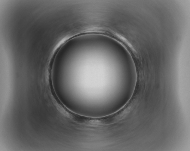 X0000113091463200908281234