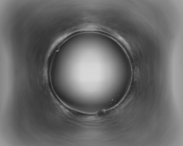 X0000113091464200908281233