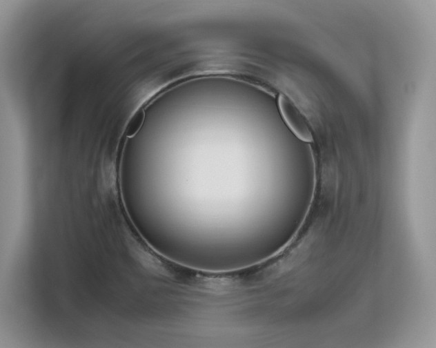 X0000113091465200908281233