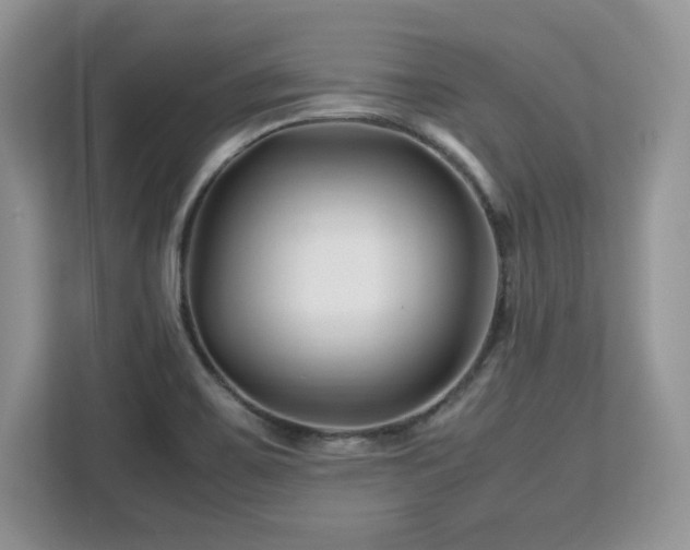 X0000113091467200908281233