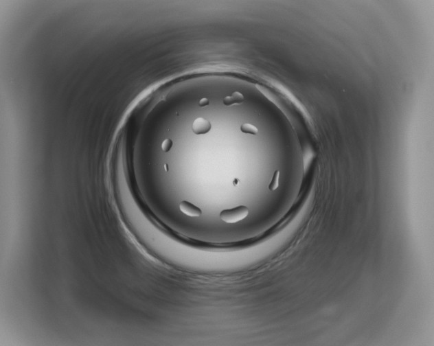 X0000113091468200908281233