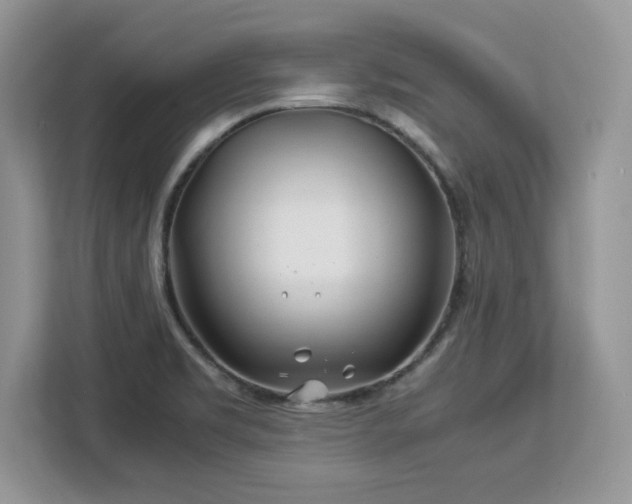 X0000113091469200908281233
