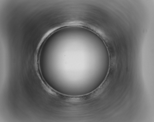 X0000113091470200908281233