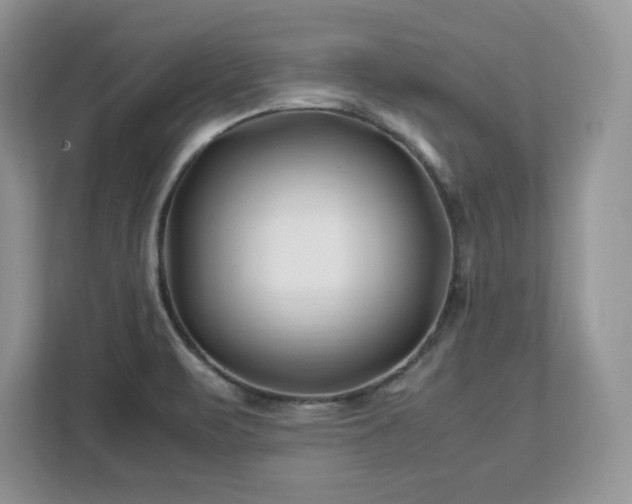 X0000113091471200908281233