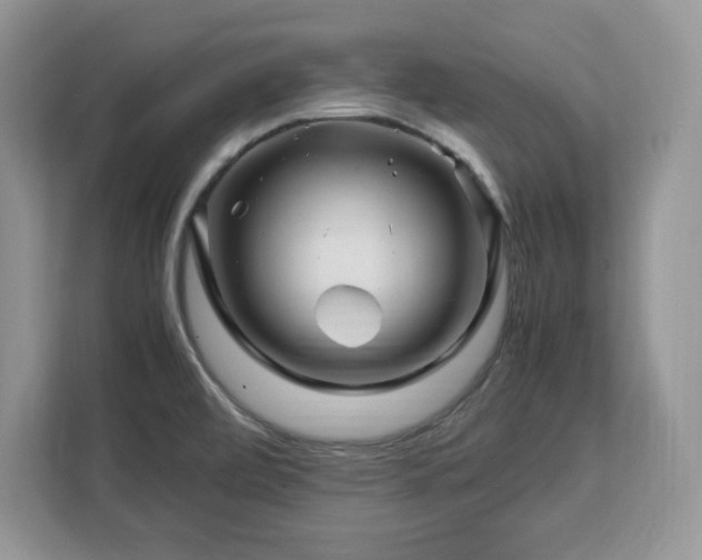 X0000113091472200908281233