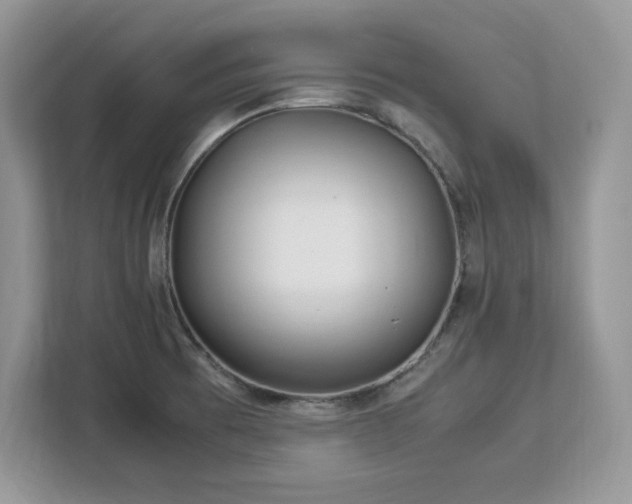 X0000113091473200908281233