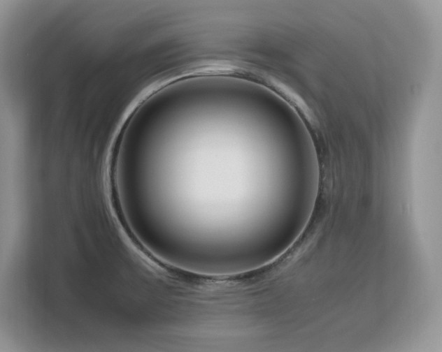 X0000113091475200908281233