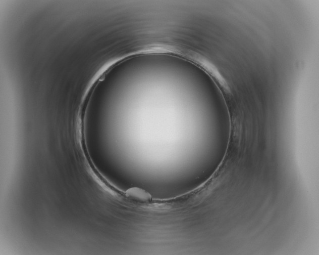 X0000113091476200908281233