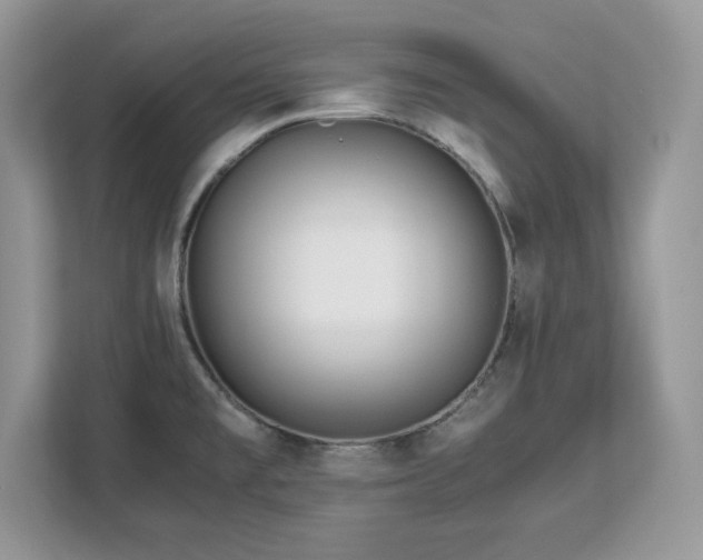 X0000113091477200908281233