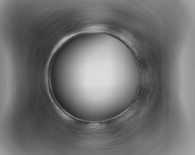X0000113091478200908281233