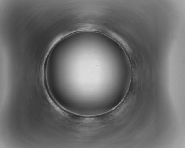 X0000113091479200908281233