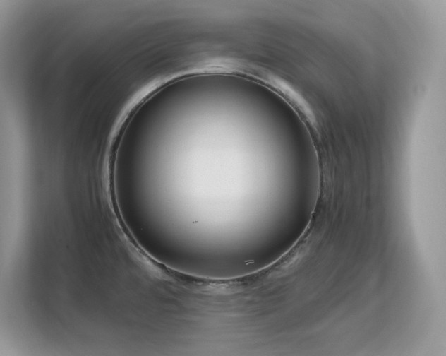 X0000113091480200908281233