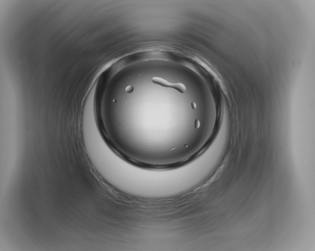 X0000113091481200908281233