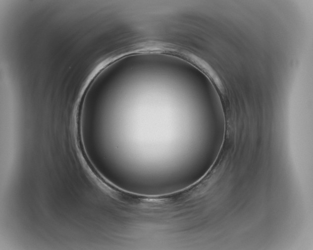 X0000113091483200908281233