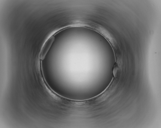 X0000113091484200908281233
