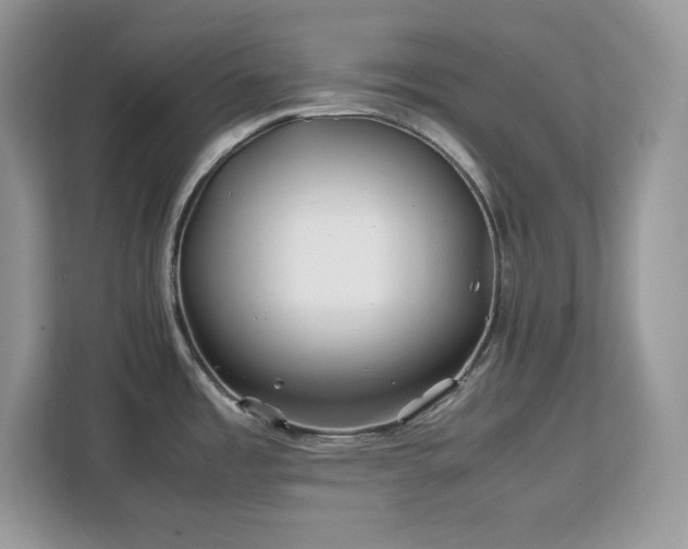 X0000113091485200908281233
