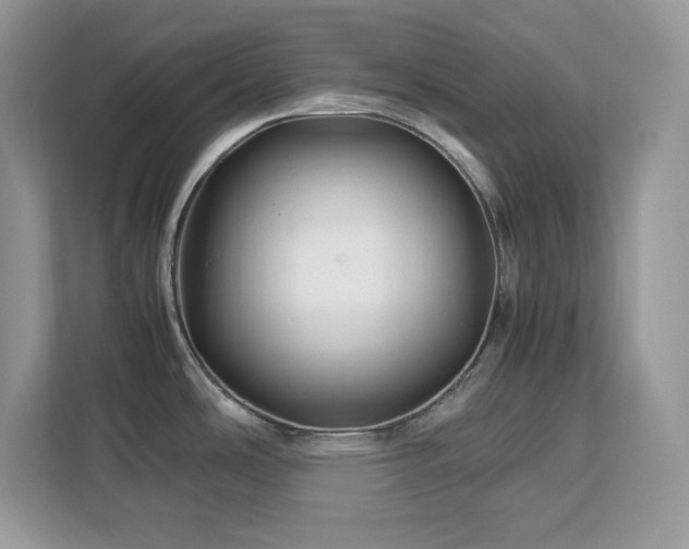 X0000113091486200908281233