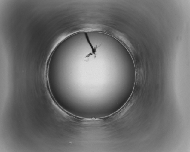 X0000113091487200908281233
