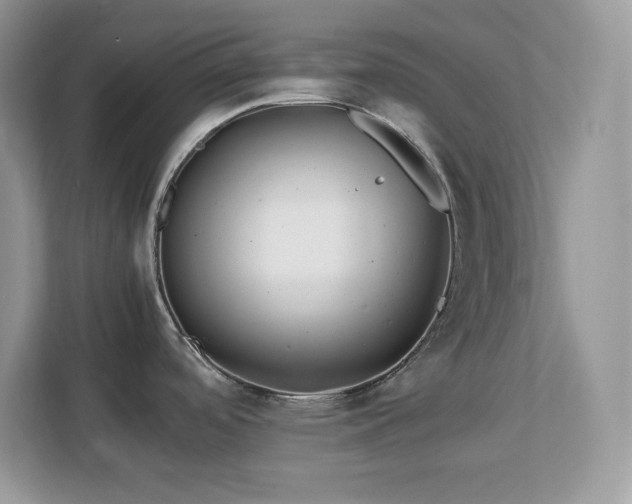 X0000113091488200908281233