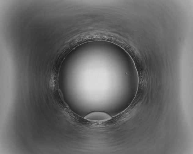 X0000113091490200908281233