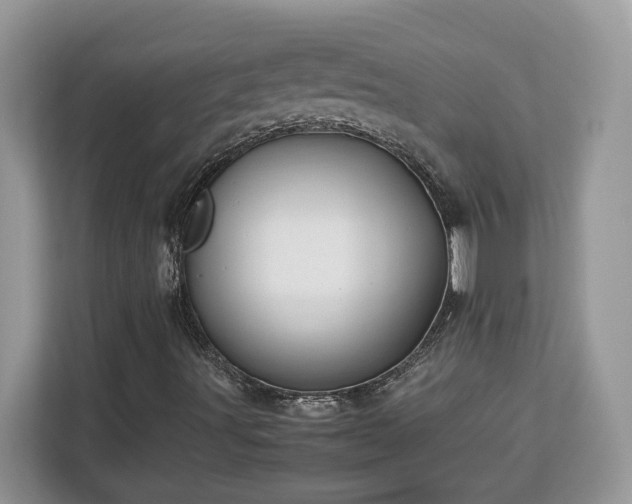 X0000113091491200908281233
