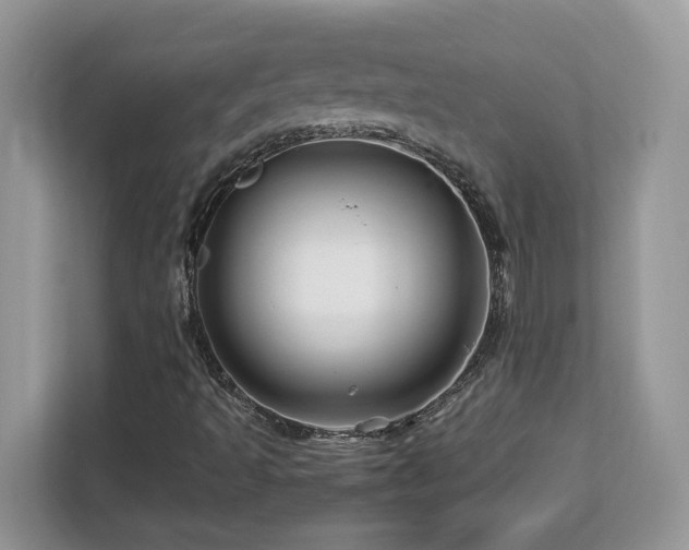 X0000113091493200908281233
