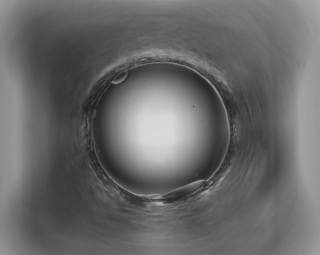 X0000113091494200908281233