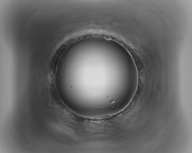 X0000113091495200908281233