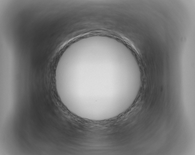 X0000113091496200908281233