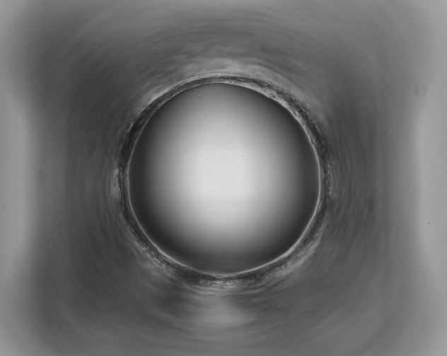 X0000113091497200908281233