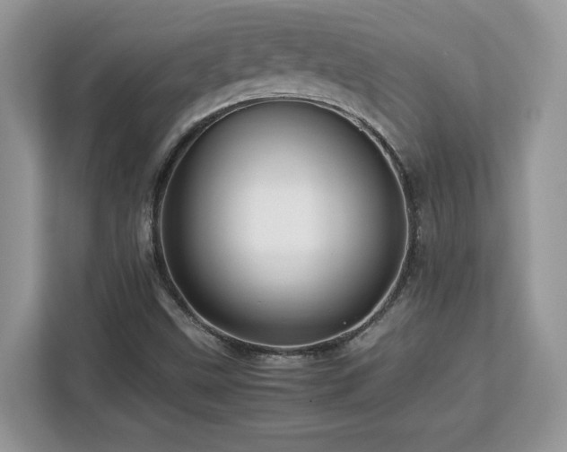 X0000113091499200908281233